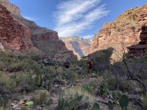 IMG 7960