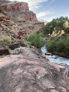 IMG 7961