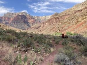 IMG 7962