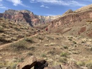 IMG 7964