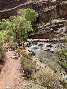 IMG 7967