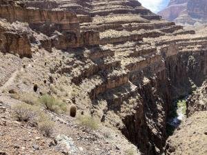 IMG 7969
