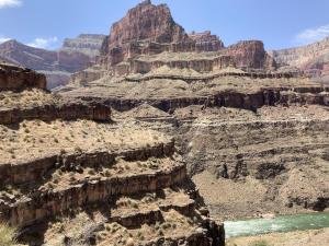 IMG 7971