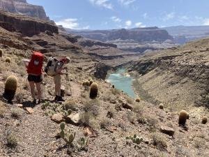 IMG 7972