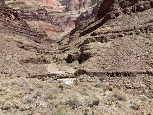 IMG 7974