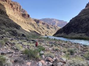 IMG 7976