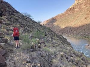 IMG 7977