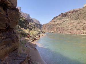 IMG 7978