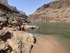 IMG 7979