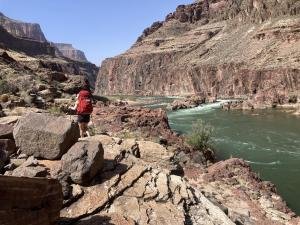 IMG 7980
