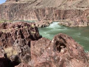 IMG 7981