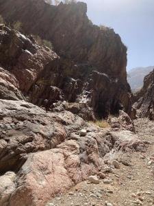 IMG 7982