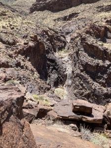 IMG 7989