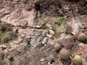 IMG 7990