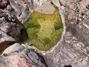 IMG 7991