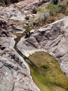 IMG 7993