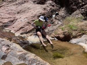 IMG 7994
