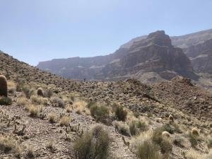 IMG 7997