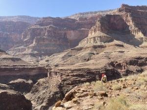 IMG 7998