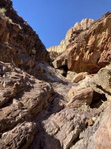 IMG 8003