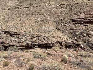 IMG 8058