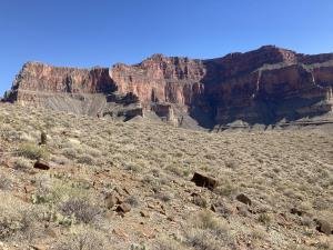 IMG 8064