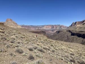 IMG 8065