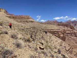 IMG 8079