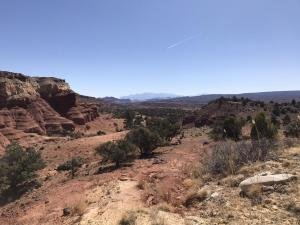 IMG 8308