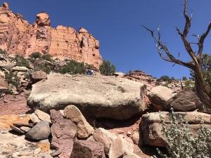 IMG 8313