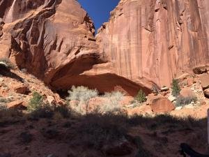 IMG 8363