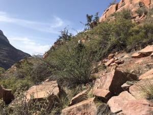 IMG 8505
