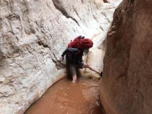 IMG 8521