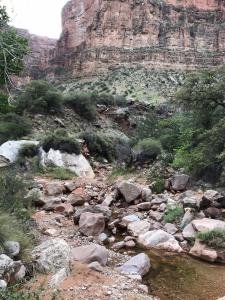 IMG 8550