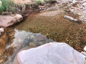 IMG 8552
