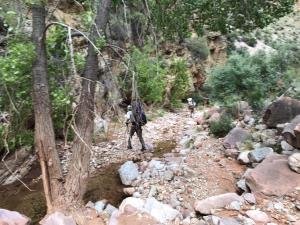 IMG 8553