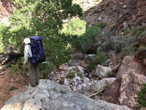 IMG 8563