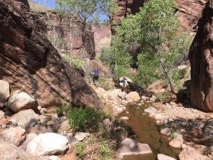 IMG 8568