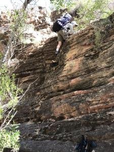 IMG 8575