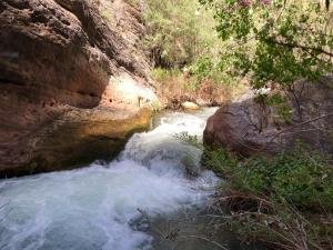 IMG 8576