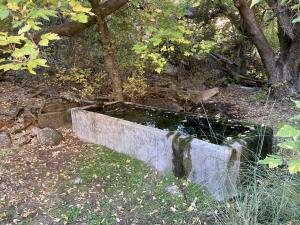 IMG 8576