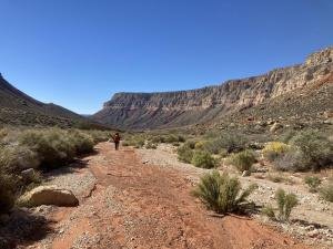 IMG 8578