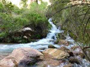 IMG 8582