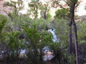 IMG 8583