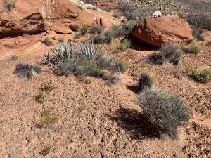 IMG 8586