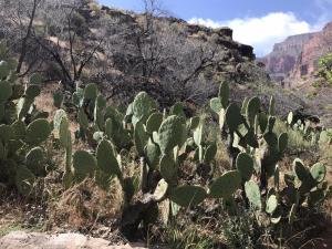 IMG 8588