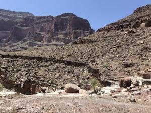 IMG 8596