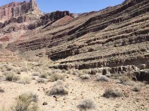 IMG 8597