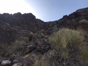 IMG 8599