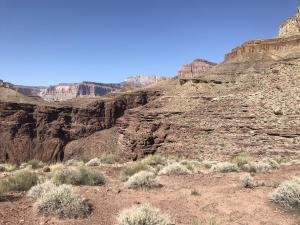 IMG 8616